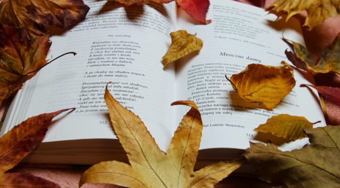 Nouvelles acquisitions : octobre 2025