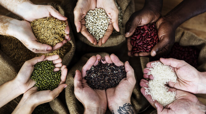 Bourse aux graines – samedi 28 février